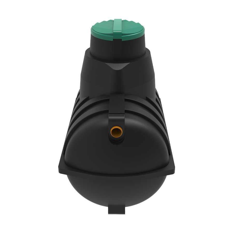������ Rostok ����������