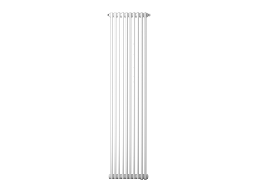 �������� ��������� �������� Zehnder 2200 Charleston 12 ������