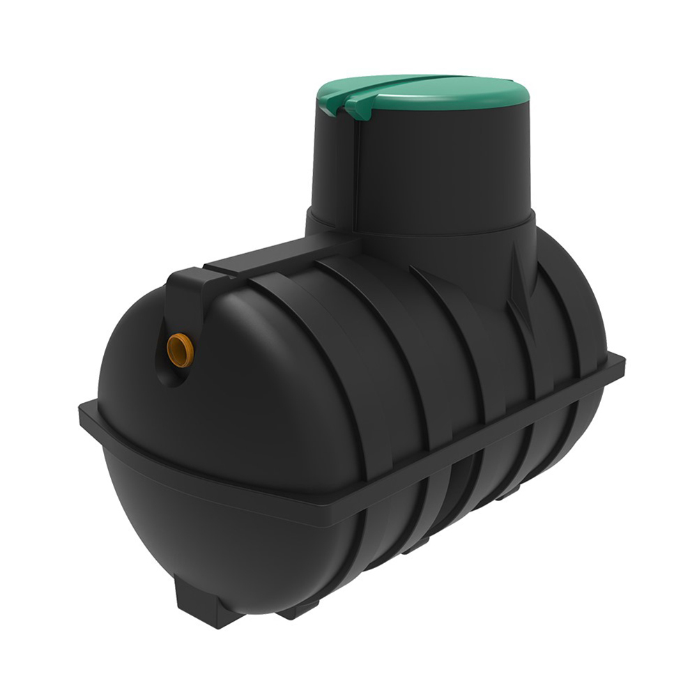 ������ Rostok ����������