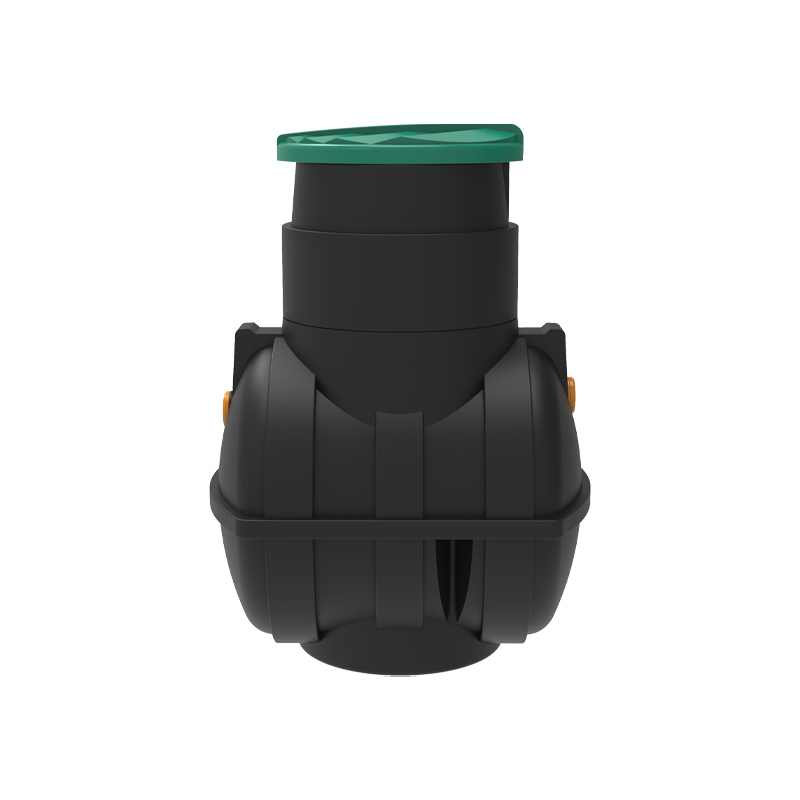 ������ Rostok ����