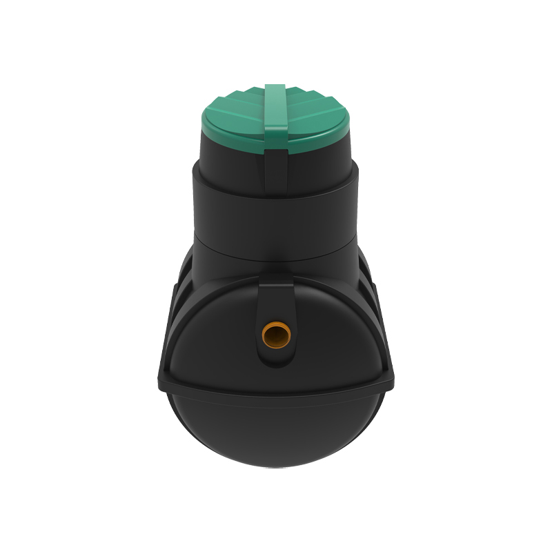 ������ Rostok ����