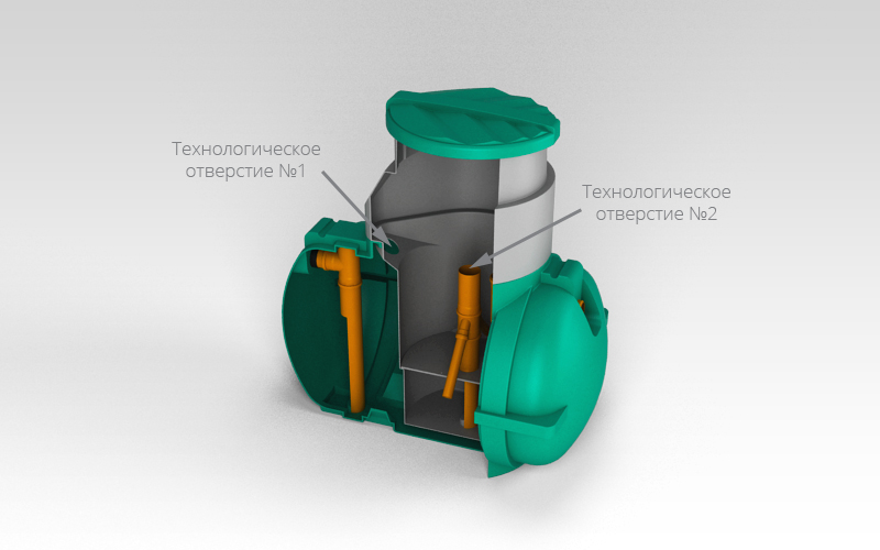 ������ Rostok ����������