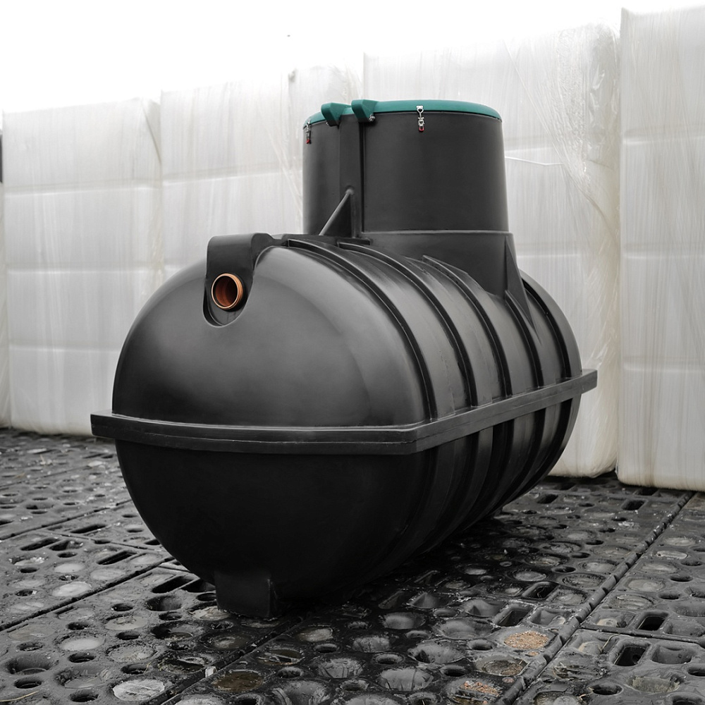 ������ Rostok ����������