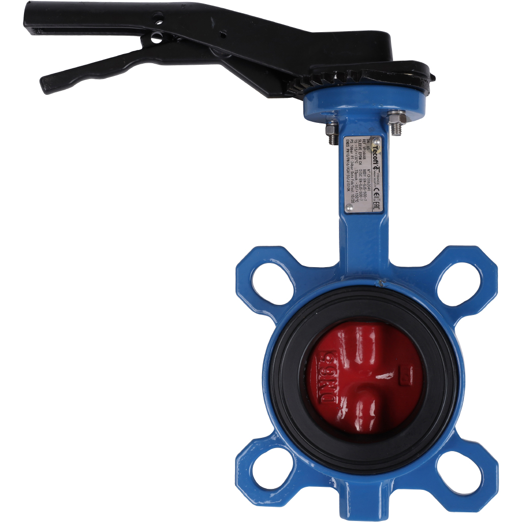 ������ ���������-�������� Tecofi VPI4448 DN 65 PN 16 ������������ � ������ �� ������ EPDM