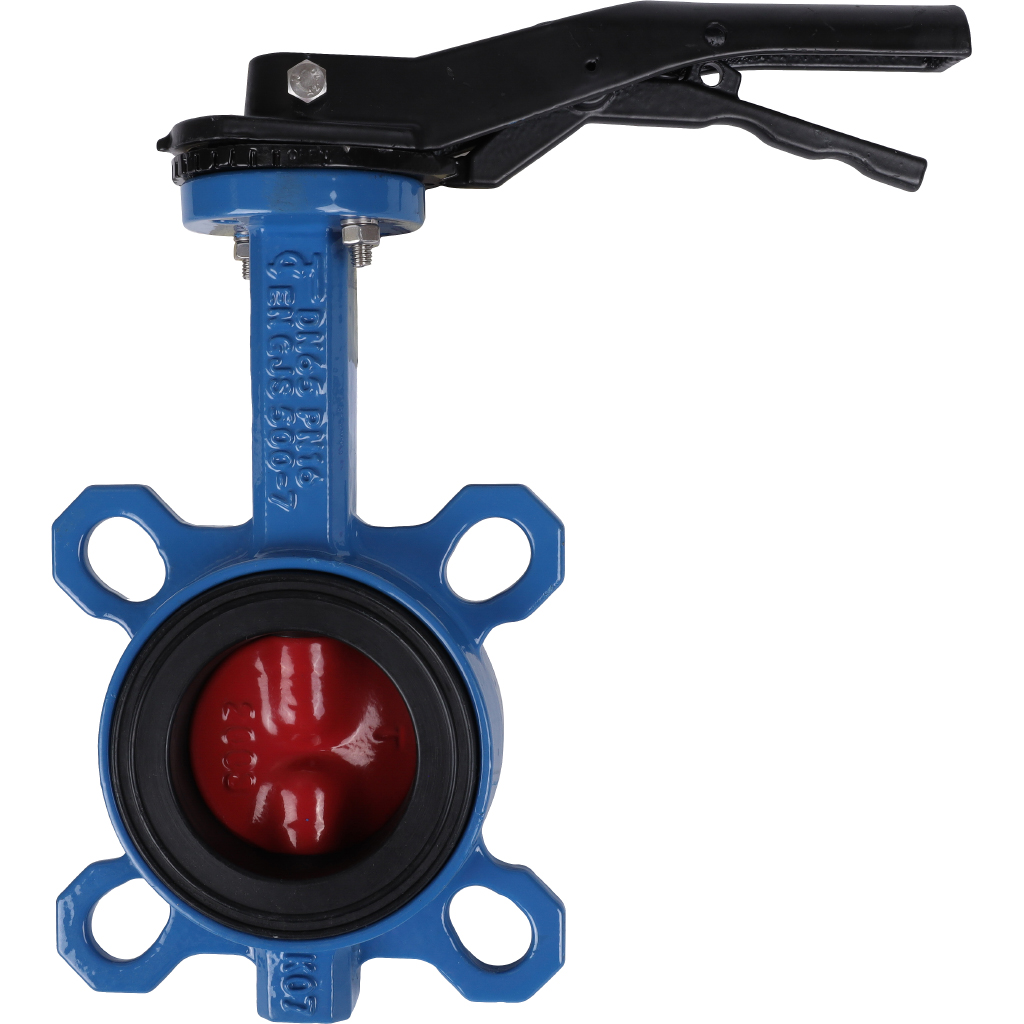 ������ ���������-�������� Tecofi VPI4448 DN 65 PN 16 ������������ � ������ �� ������ EPDM