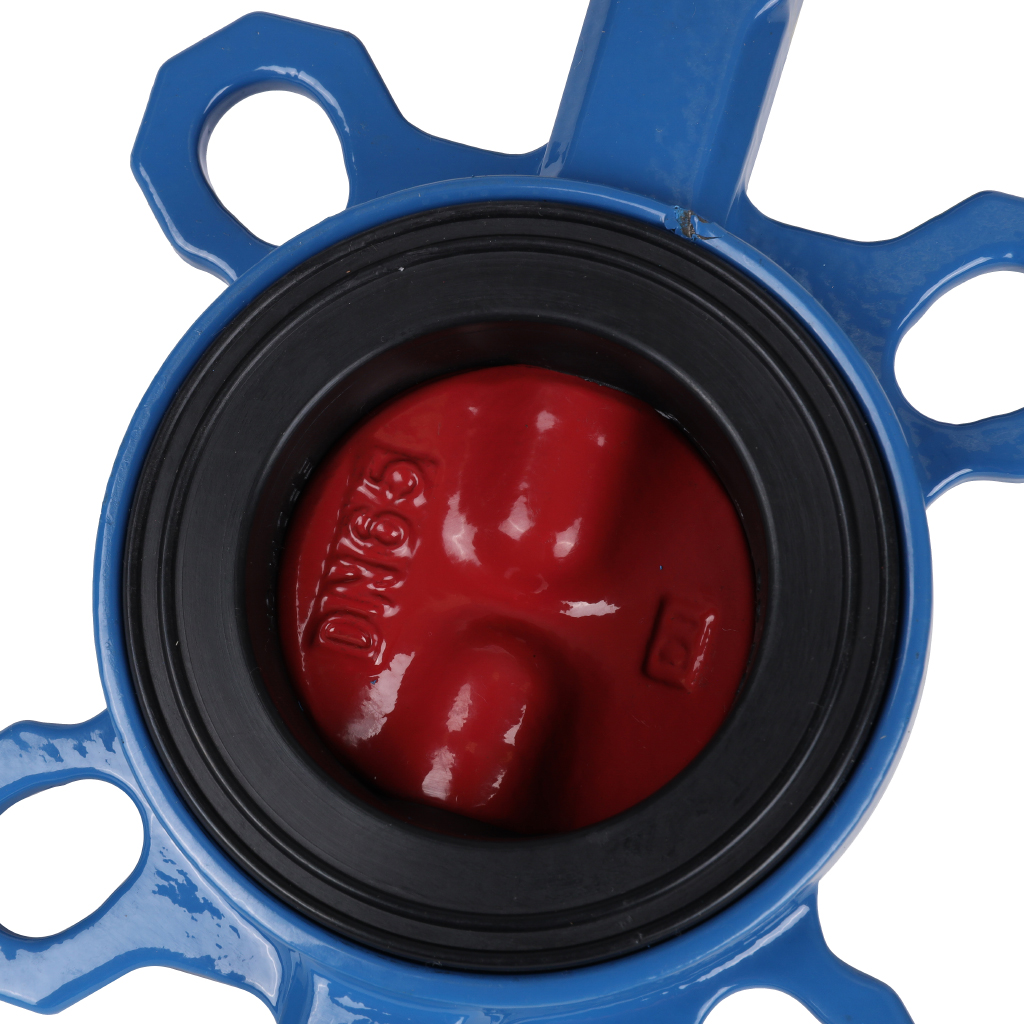 ������ ���������-�������� Tecofi VPI4448 DN 65 PN 16 ������������ � ������ �� ������ EPDM
