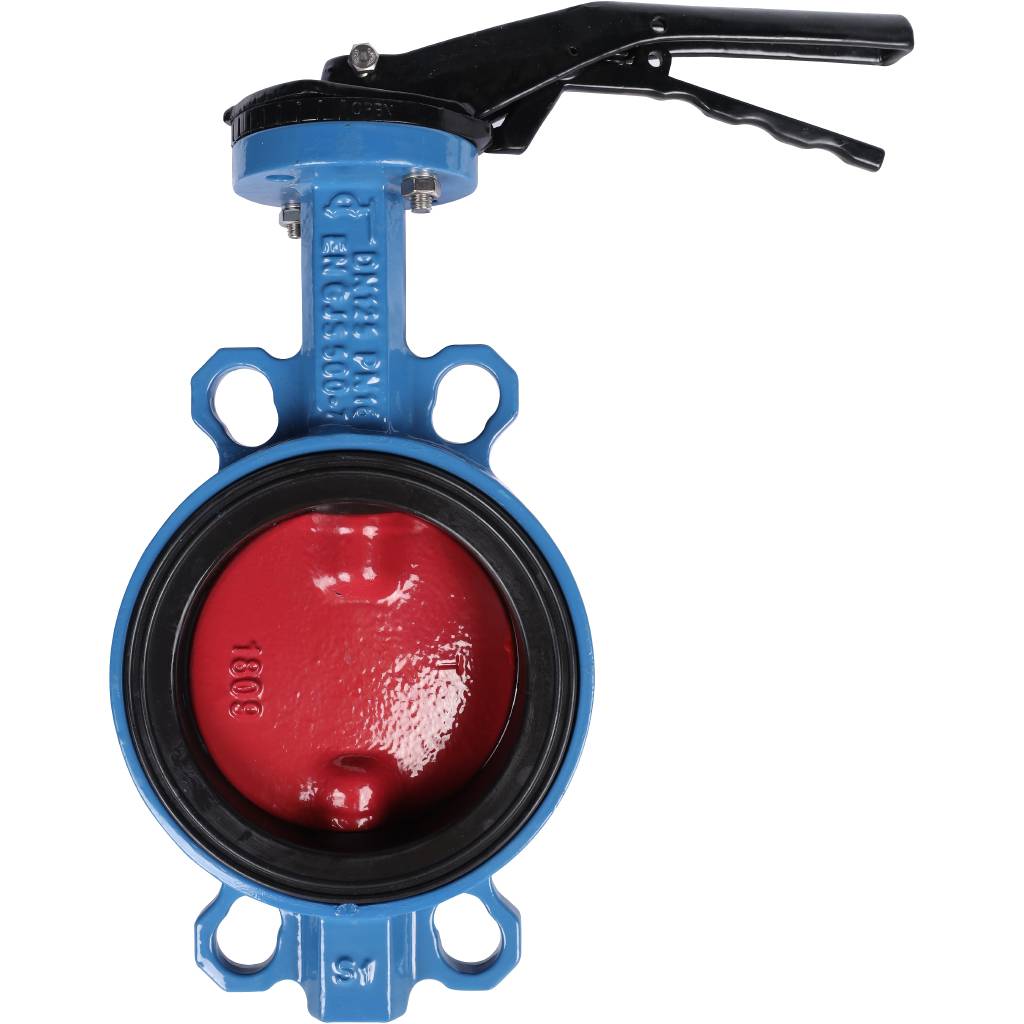 ������ ���������-�������� Tecofi VPI4448 DN 125 PN 16 ������������ � ������ �� ������ EPDM