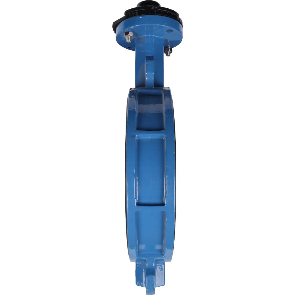 ������ ���������-�������� Tecofi VPI4448 DN 125 PN 16 ������������ � ������ �� ������ EPDM