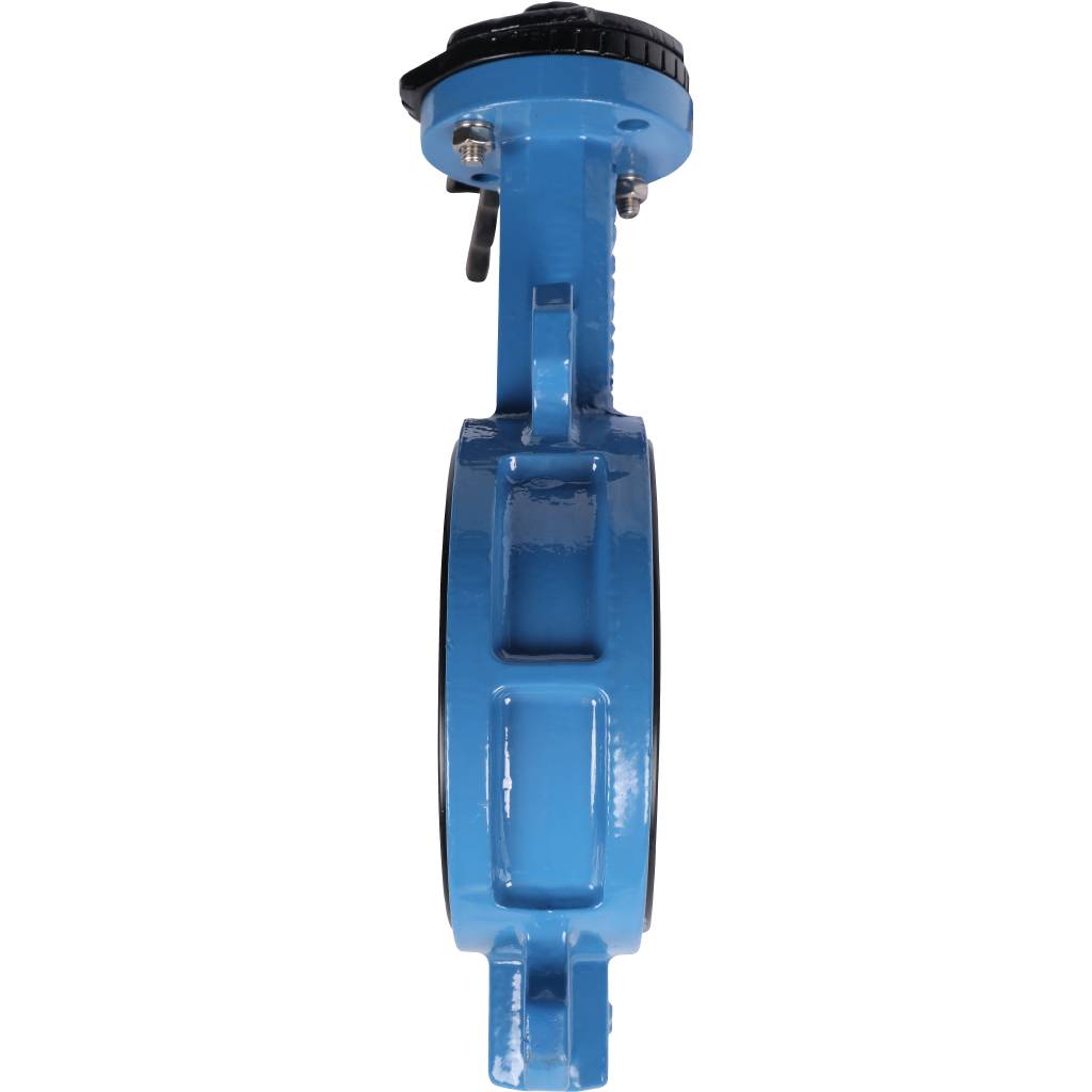 ������ ���������-�������� Tecofi VPI4448 DN 125 PN 16 ������������ � ������ �� ������ EPDM