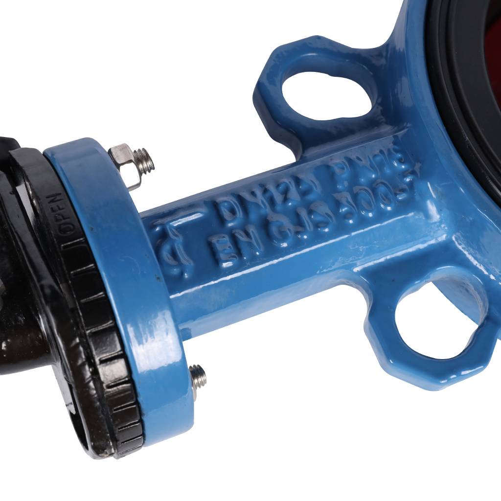 ������ ���������-�������� Tecofi VPI4448 DN 125 PN 16 ������������ � ������ �� ������ EPDM