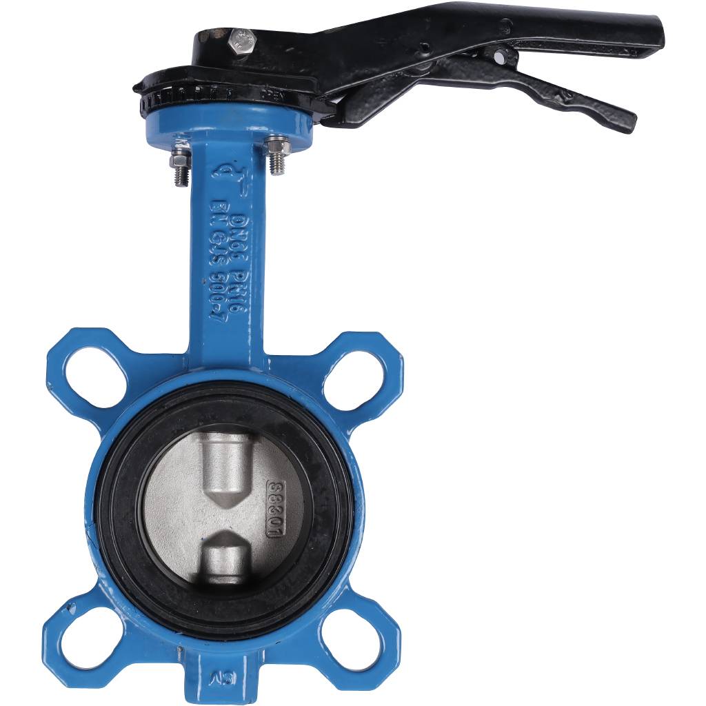������ ���������-�������� Tecofi VPI4449 DN 65 PN 16 EP �� ������