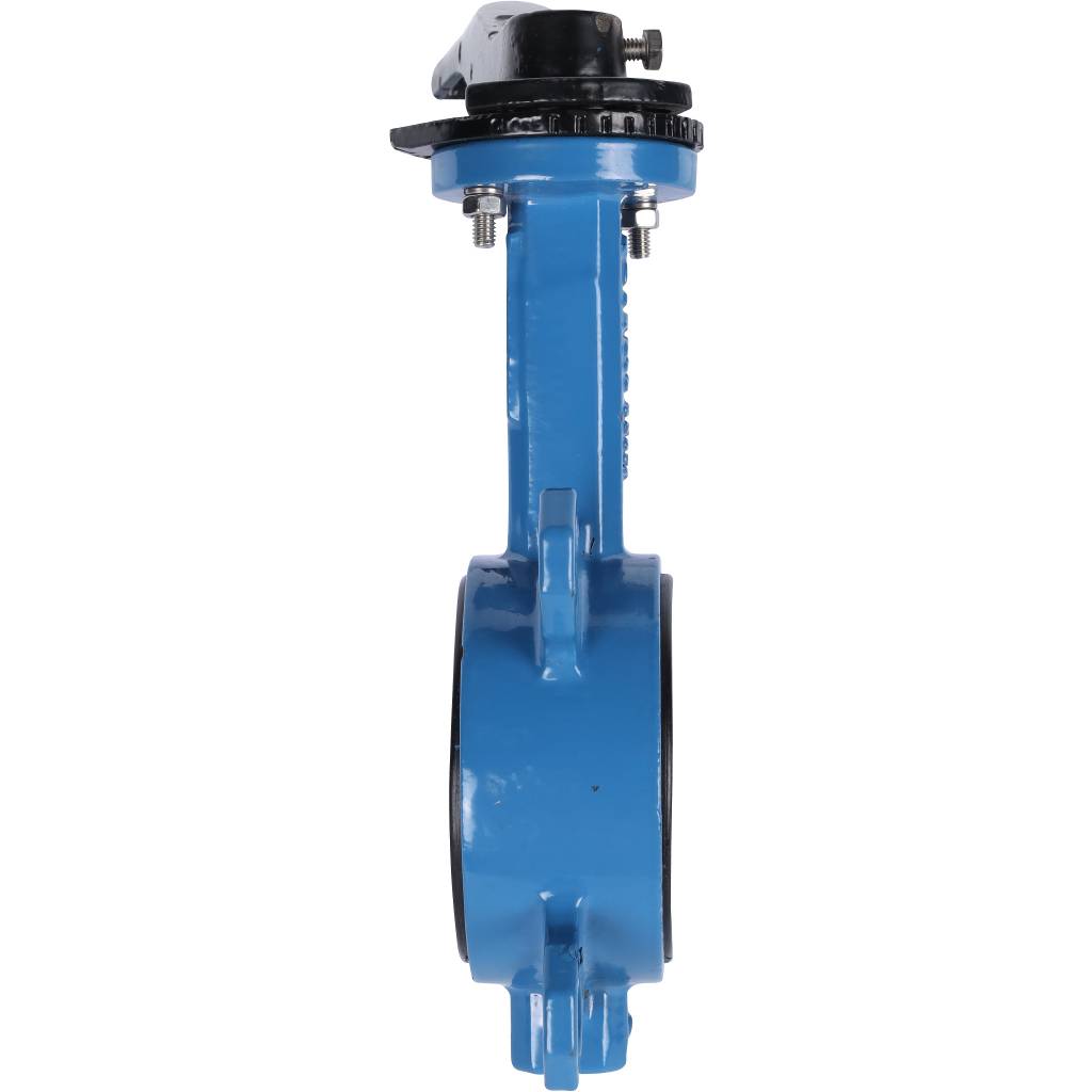 ������ ���������-�������� Tecofi VPI4449 DN 65 PN 16 EP �� ������
