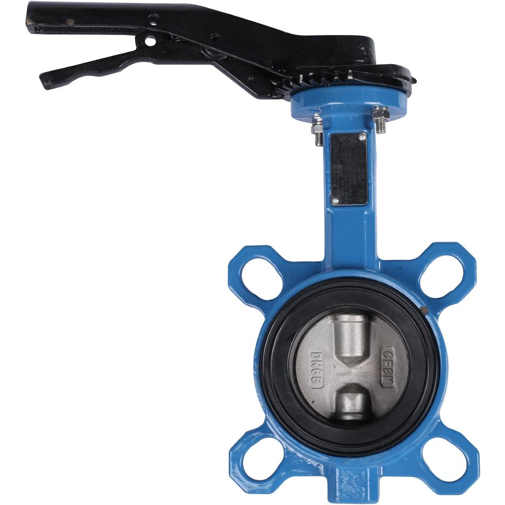 ������ ���������-�������� Tecofi VPI4449 DN 65 PN 16 EP �� ������