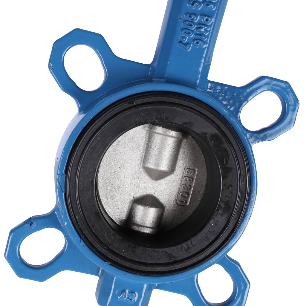������ ���������-�������� Tecofi VPI4449 DN 65 PN 16 EP �� ������