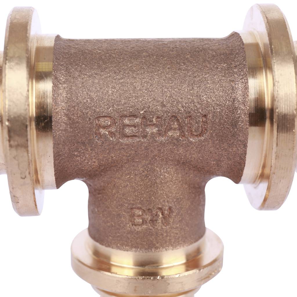 ������� ����� RAUTITAN PLATINUM � ����������� ������� �������� 25-20-25 RX ��� ���� �� ������� ����������� ����������