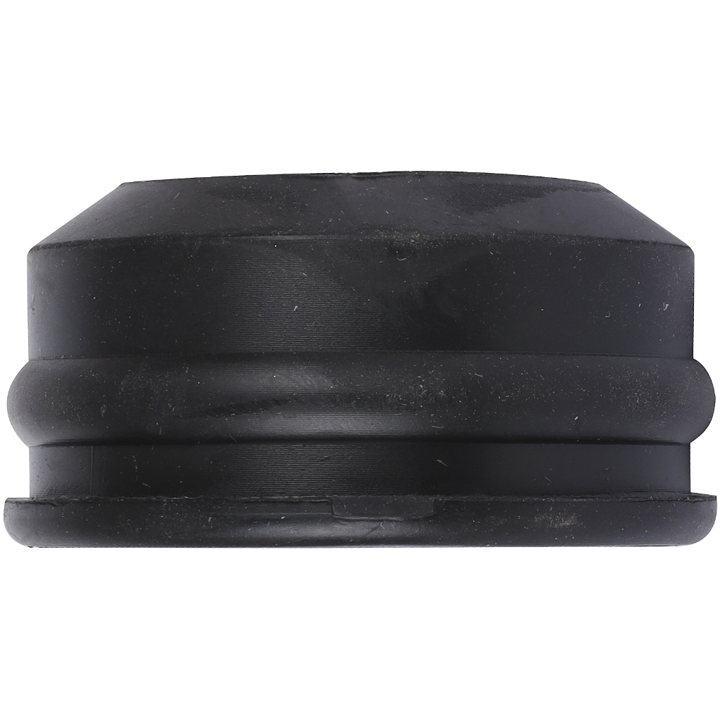 ������� ��������� � �������� ����� ����� RAUPIANO PLUS 50/40