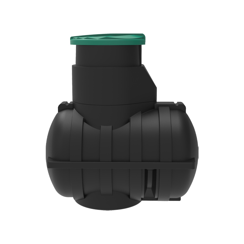 ������ Rostok ������