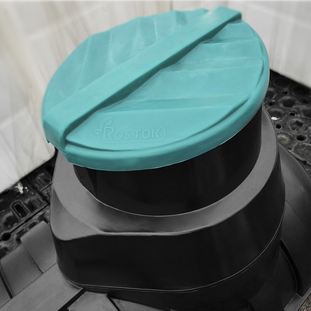 ������ Rostok ����������