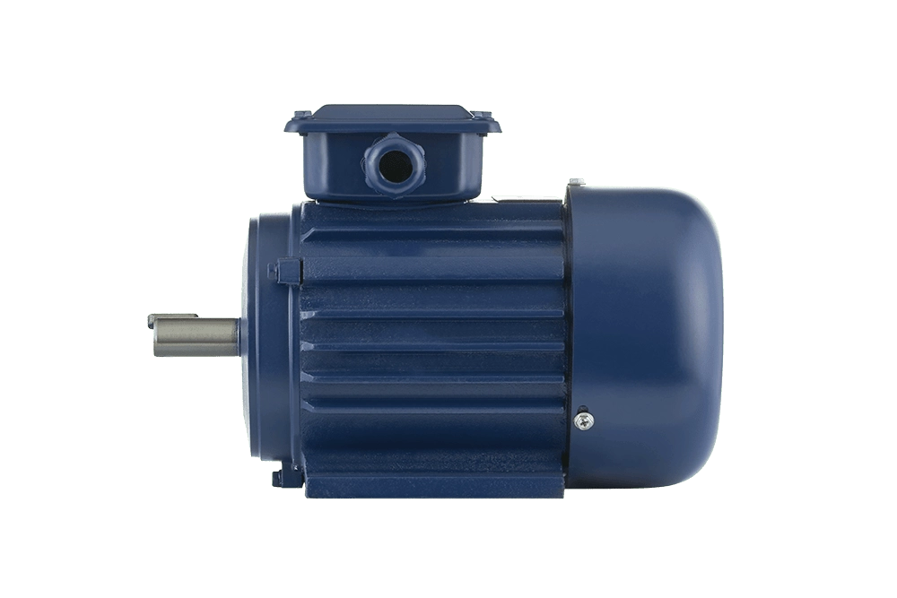 ���������������� ������������ ��� ��� 100L6 IM1081 (2.2 ���, 1000 ��/���)