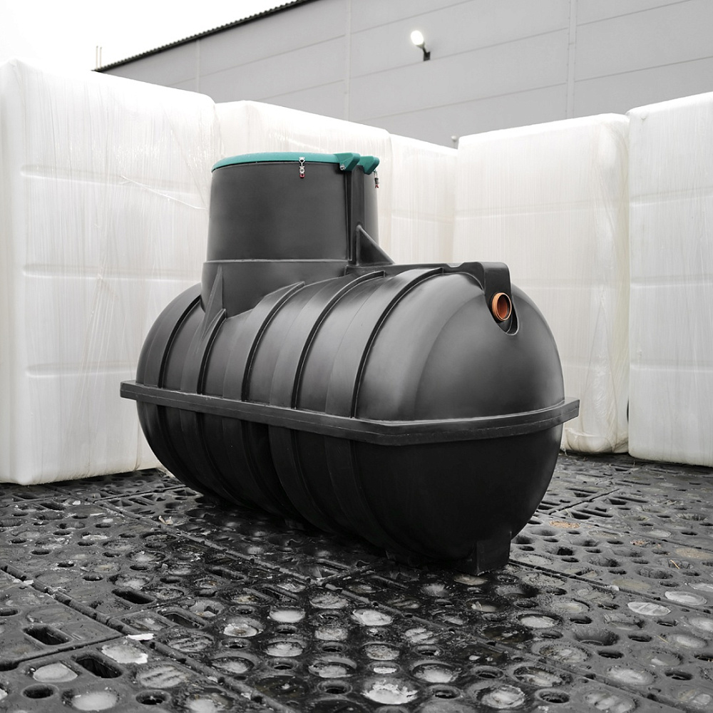 ������ Rostok ����������