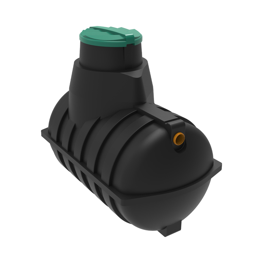 ������ Rostok ����������
