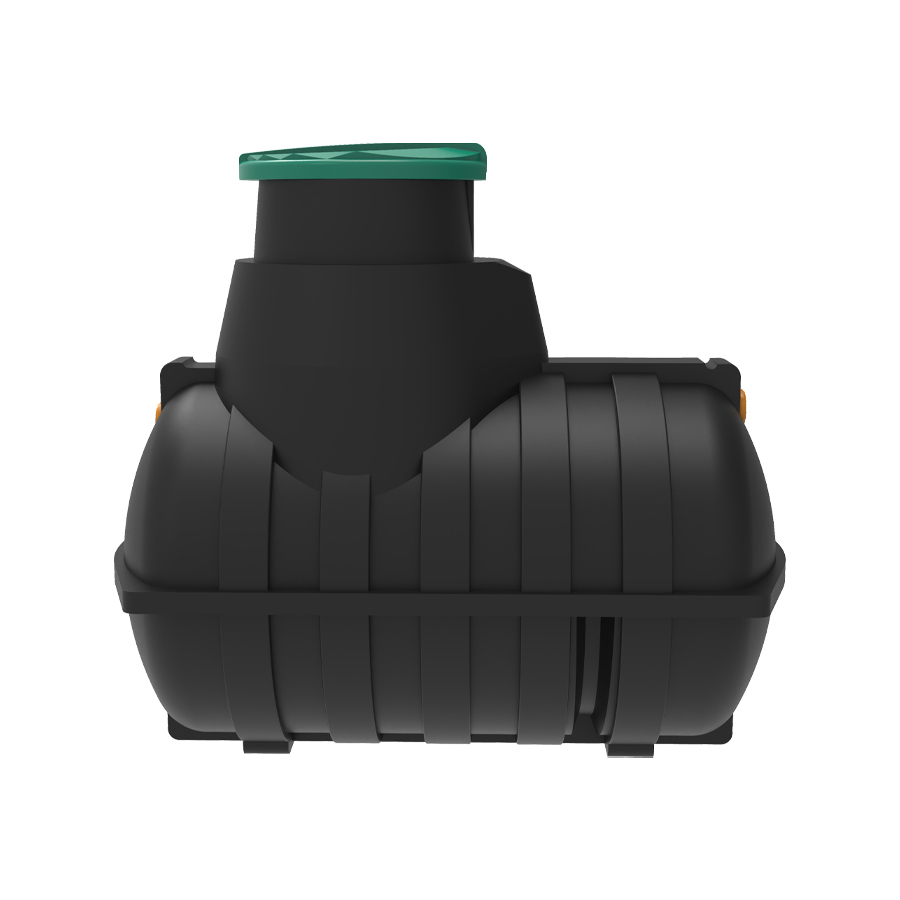 ������ Rostok ����������